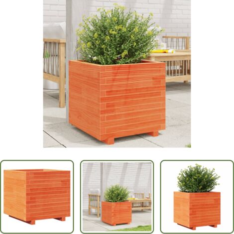 vidaXL Fioriera marrone -  Fioriera Giardino Marrone Cera 50x50x49,5cm Legno Massello Pino