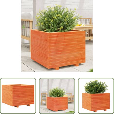 vidaXL Fioriera marrone -  Fioriera Giardino Marrone Cera 60x60x49,5cm Legno Massello Pino