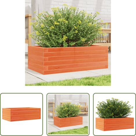 vidaXL Fioriera marrone -  Fioriera Giardino Marrone Cera 70x40x23cm Legno Massello Pino