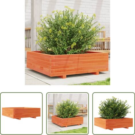 vidaXL Fioriera marrone -  Fioriera Giardino Marrone Cera 80x80x26,5cm Legno Massello Pino