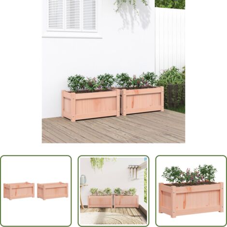 vidaXL Fioriere da esterno -  Fioriere da Giardino 2 pz in Legno Massello di Douglas