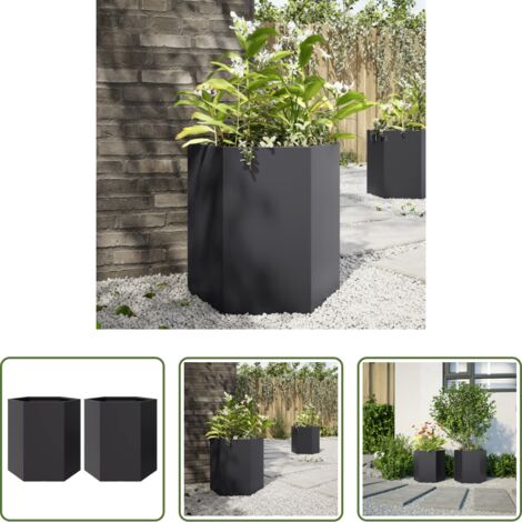 vidaXL Fioriere per piante -  Fioriere da Giardino 2 pz Esagono Nero 46x40x45 cm Acciaio