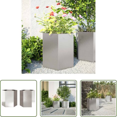 vidaXL Fioriere per piante -  Fioriere da Giardino 2pz Nera Esagono Acciaio inossidabile