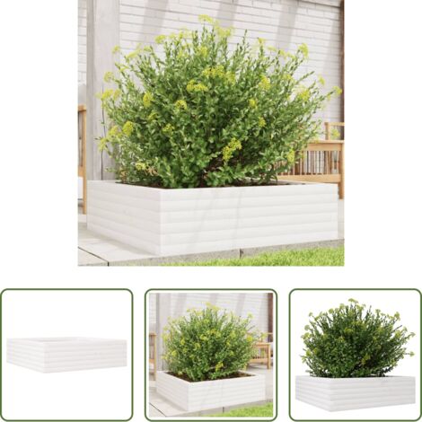 vidaXL Fleurs -  Jardinière blanc 80x80x23 cm bois de pin massif