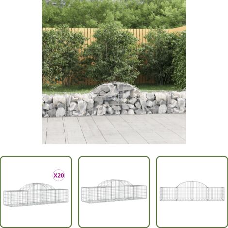 vidaXL Gabbia ad arco -  Cesti Gabbioni ad Arco 20 pz 200x50x40/60 cm Ferro Zincato