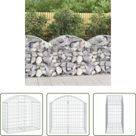 vidaXL Gabbia ad arco -  Cesto Gabbione ad Arco 100x50x80/100 cm Ferro Zincato
