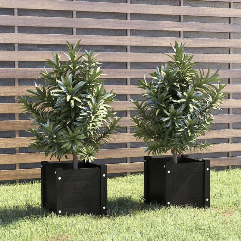 Garden Planters 2 Pcs Black 31x31x31 Cm Solid Pinewood Vidaxl