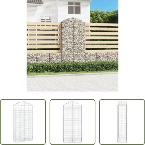 vidaXL Jardín decorativo -  Cesta gaviones forma arco hierro galvanizado 100x50x200/220 cm