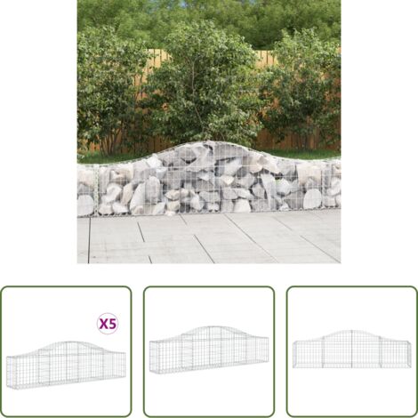 vidaXL Jardín decorativo -  Cestas de gaviones 5 uds forma de arco hierro 200x30x40/60 cm