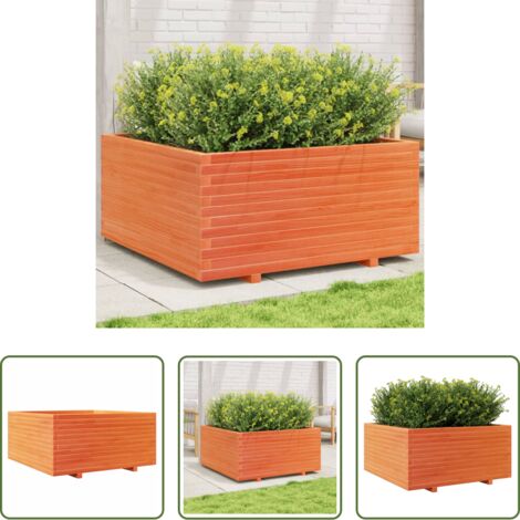 vidaXL Jardinera exterior -  Jardinera madera maciza de pino marrón cera 100x100x49,5 cm