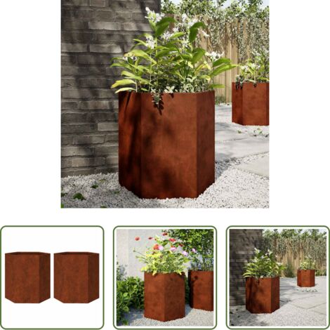 vidaXL Jardinera para plantas -  Jardineras hexagonales 46x40x45 cm acero desgastado