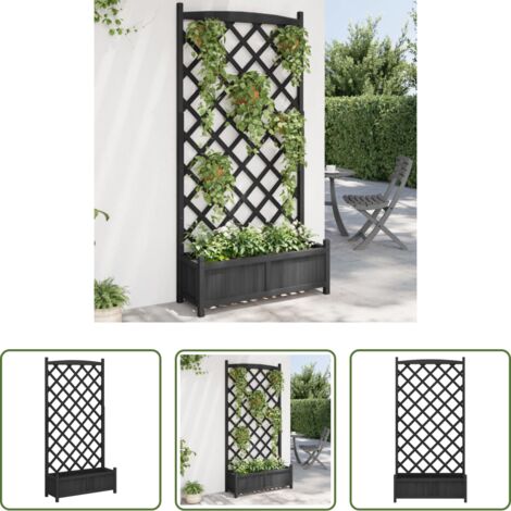 vidaXL Jardinera para plantas trepadoras -  Jardinera con enrejado madera maciza de abeto negro