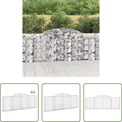 vidaXL Jardines decorativos -  Cestas de gaviones 12 uds forma arco hierro 300x30x100/120 cm