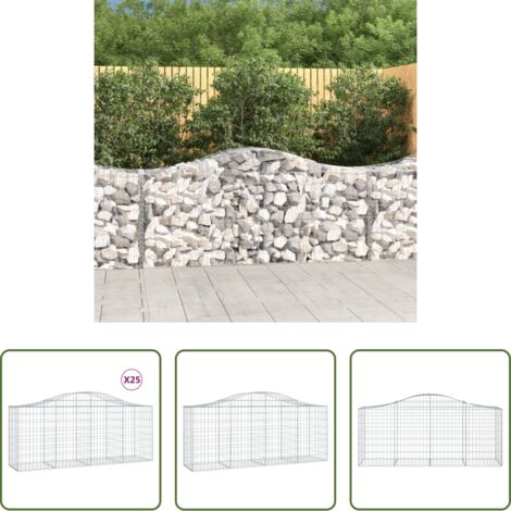vidaXL Jardines decorativos -  Cestas de gaviones 25 uds forma de arco hierro 200x50x80/100 cm