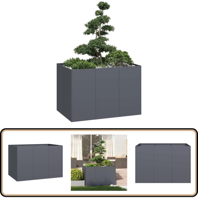 Jardinière anthracite 120x80x80 cm acier - Vidaxl