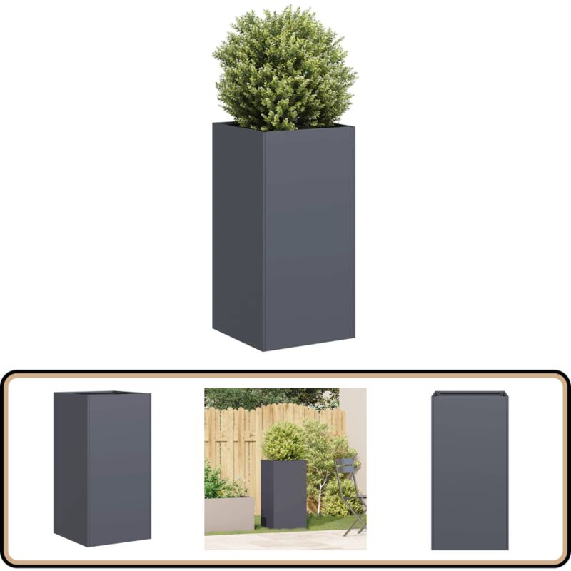 Vidaxl - Jardinière anthracite 40x40x80 cm acier laminé à froid