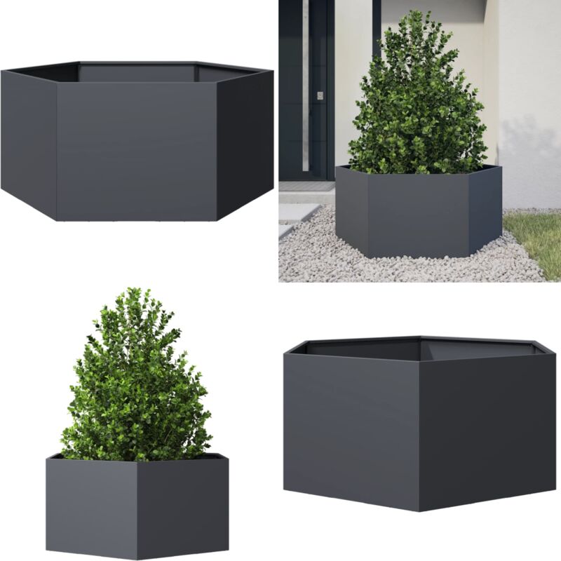 vidaXL Jardinière anthracite hexagone 104x90x45 cm acier