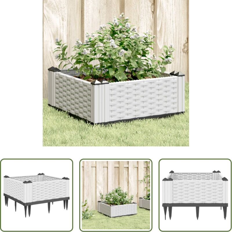 Légumes - Jardinière avec piquets blanc 42,5x42,5x28,5 cm PP