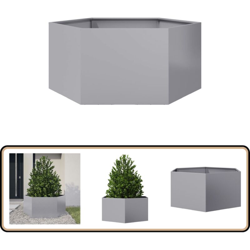 Vidaxl - Jardinière hexagone 104x90x45 cm acier galvanisé