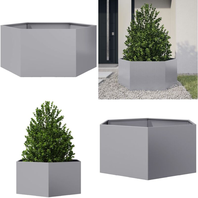 Vidaxl - Jardinière hexagone 104x90x45 cm acier galvanisé