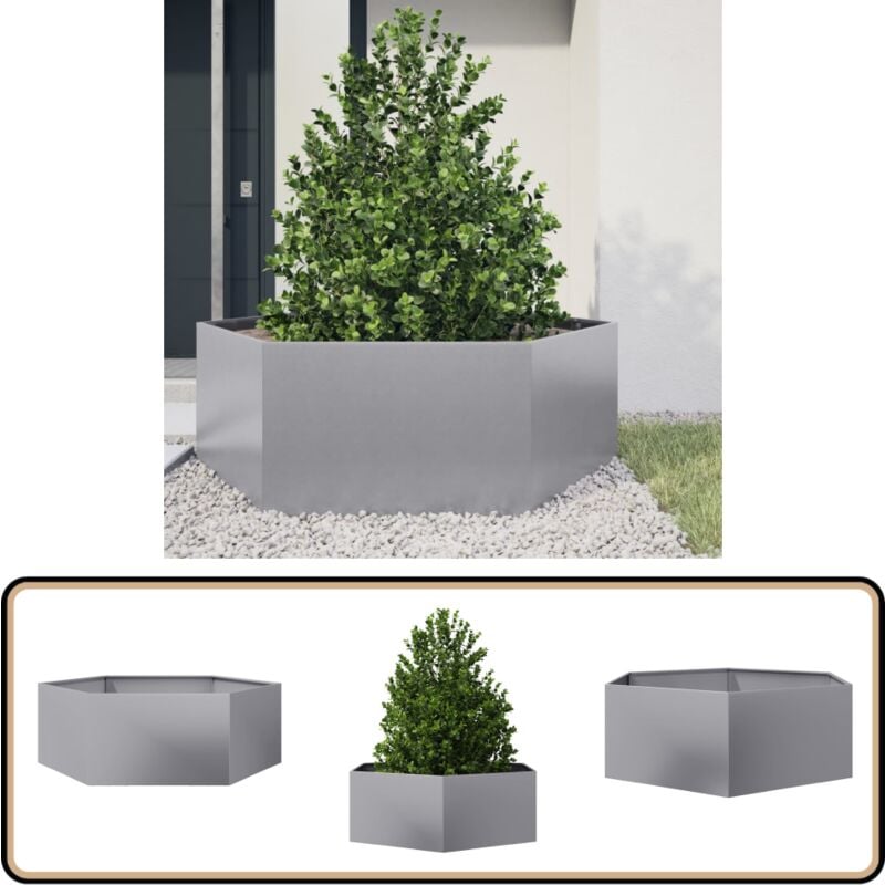 Vidaxl - Jardinière hexagone 138x120x45 cm acier galvanisé