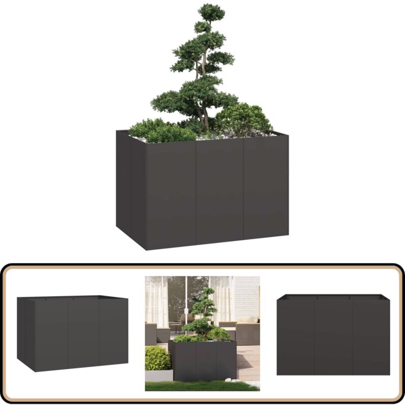 Vidaxl - Jardinière noir 120x80x80 cm acier