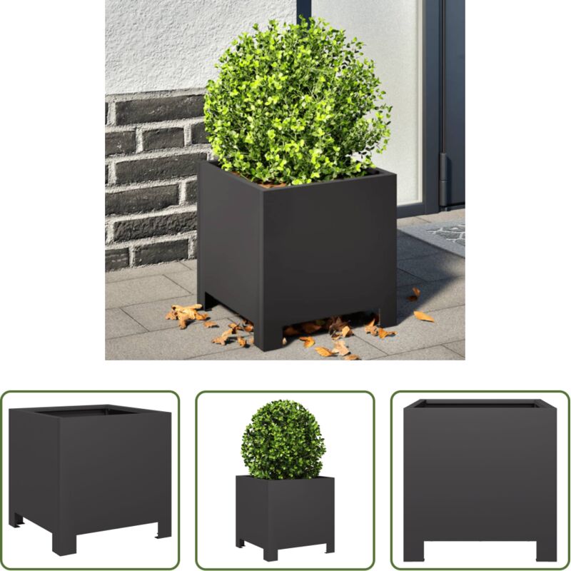 vidaXL Jardinière décorative - Jardinière noir 30x30x30 cm acier