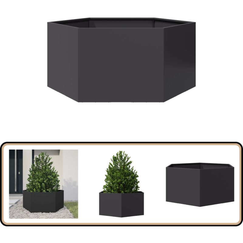 Vidaxl - Jardinière noir hexagone 104x90x45 cm acier