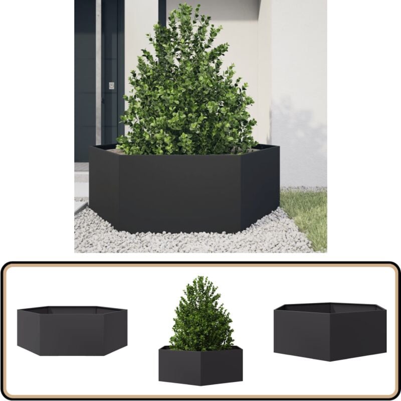 Vidaxl - Jardinière noir hexagone 138x120x45 cm acier