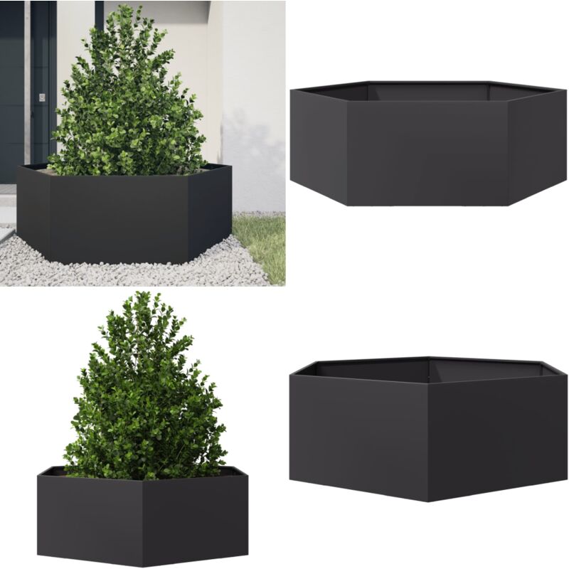 vidaXL Jardinière noir hexagone 138x120x45 cm acier