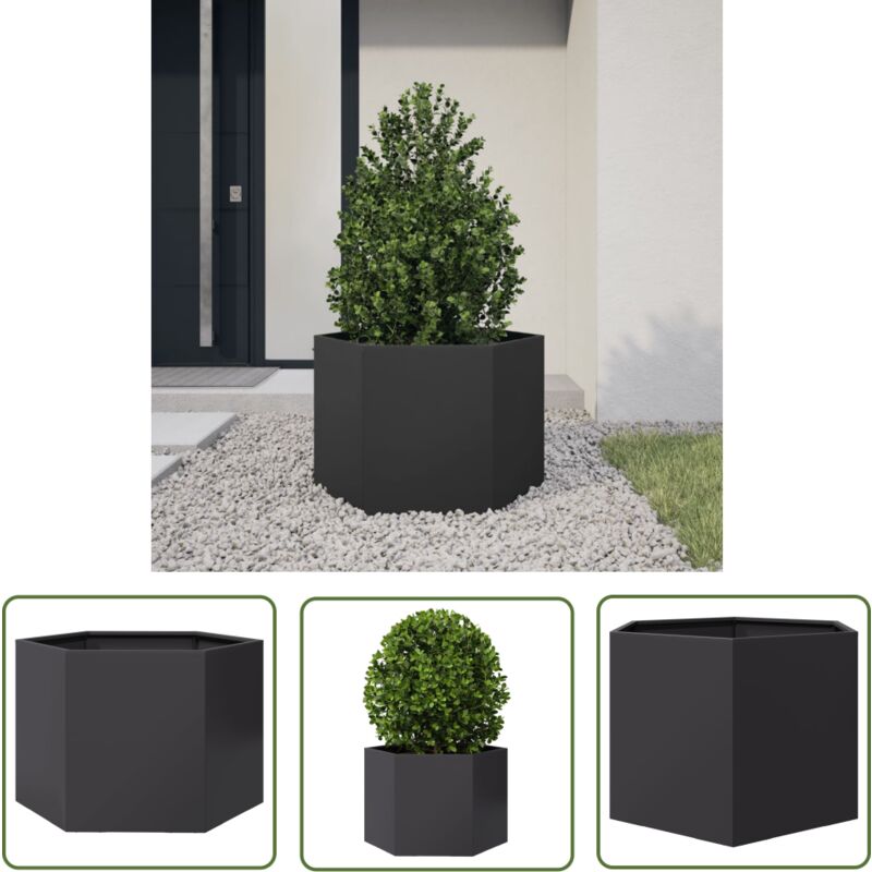 The Living Store - vidaXL Jardinière noir hexagone 69x60x45 cm acier
