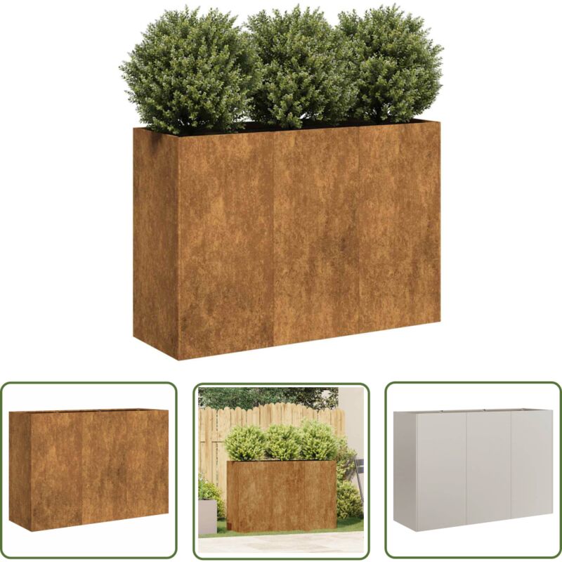 VidaXL Jardinière rouillé 120x40x80 cm acier inoxydable