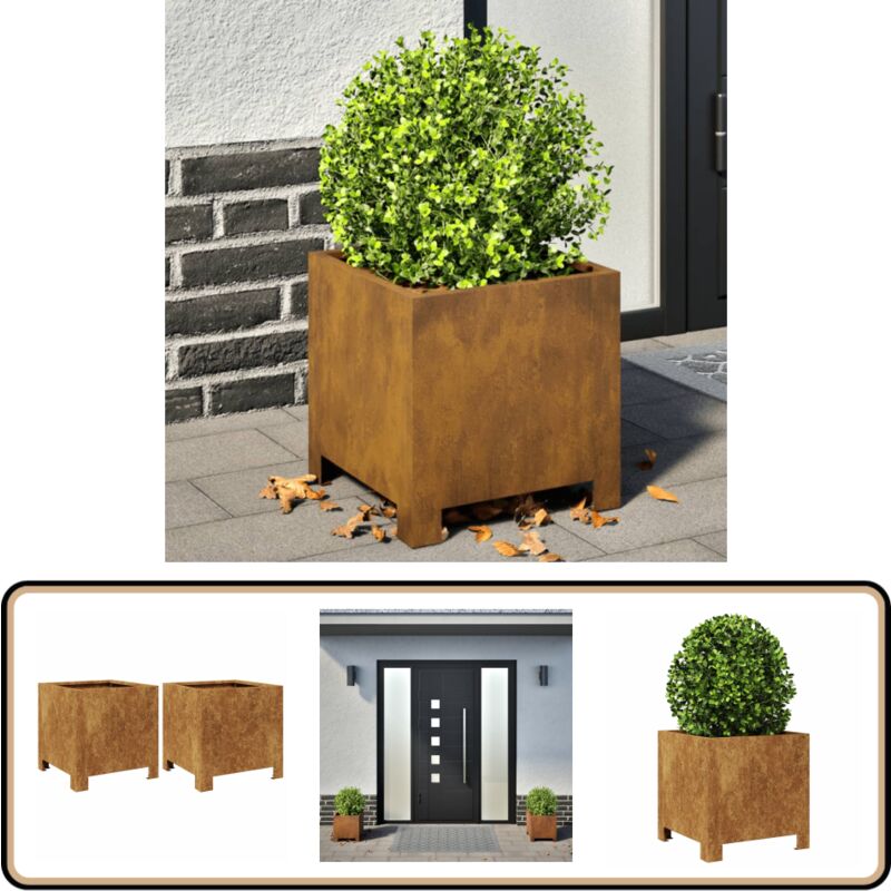 vidaXL Jardinières 2 pcs 30x30x30 cm acier résistant aux intempéries