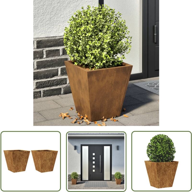 The Living Store - vidaXL Jardinières 2 pcs 30x30x30 cm acier résistant aux intempéries