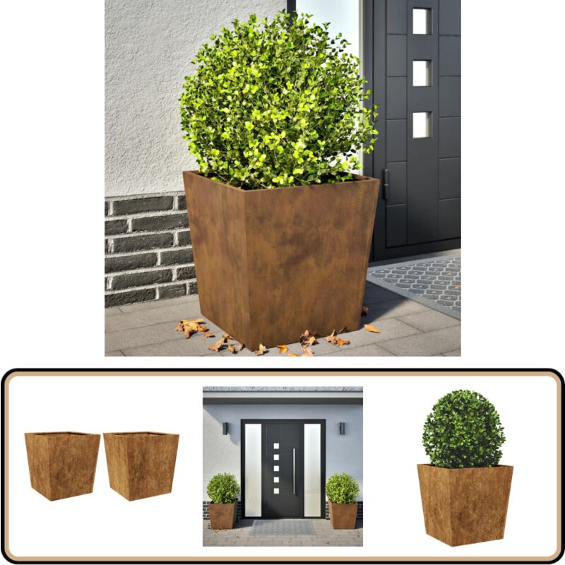 Vidaxl - Jardinières 2 pcs 50x50x50 cm acier résistant aux intempéries