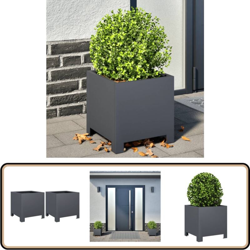 Vidaxl - Jardinières 2 pcs anthracite 30x30x30 cm acier