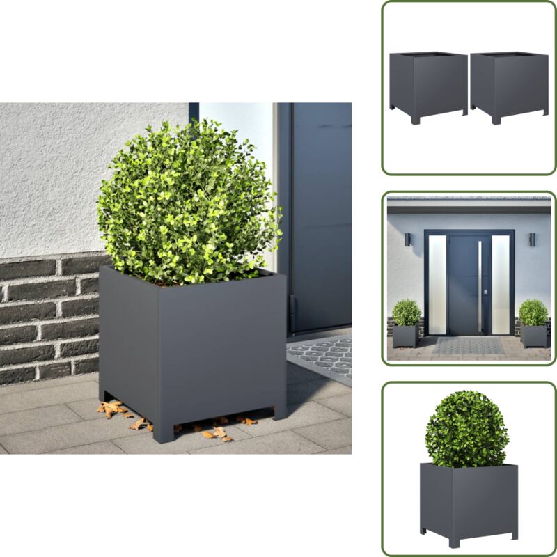 The Living Store - vidaXL Jardinières 2 pcs anthracite 40x40x40 cm acier