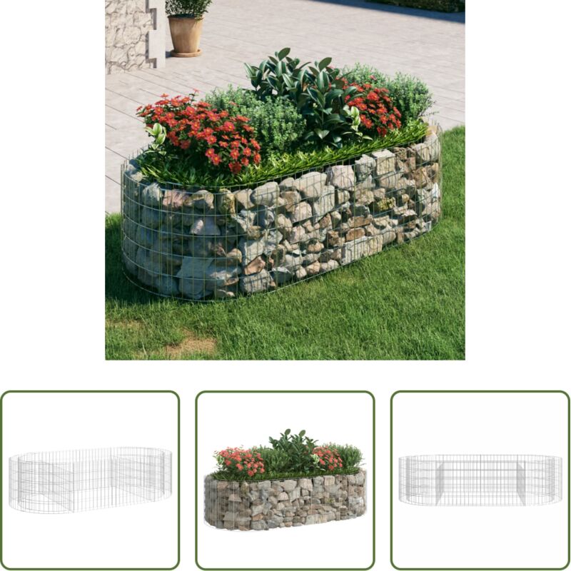 vidaXL Bordure - Lit surélevé à gabion Fer galvanisé 200x100x50 cm
