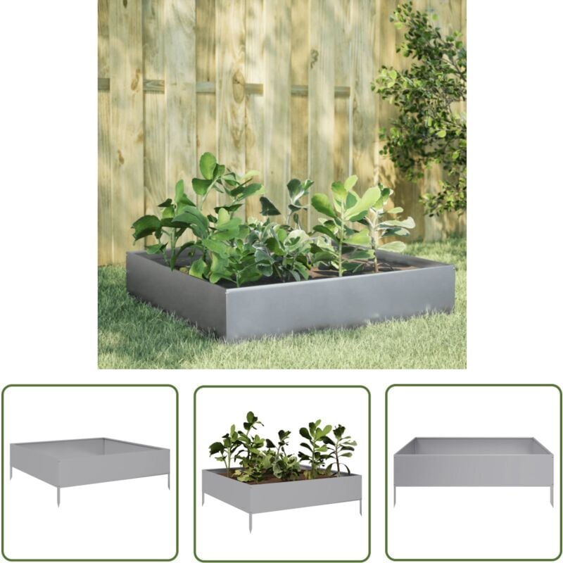 The Living Store - vidaXL Lit surélevé de jardin 100x100x33,5 cm acier inoxydable