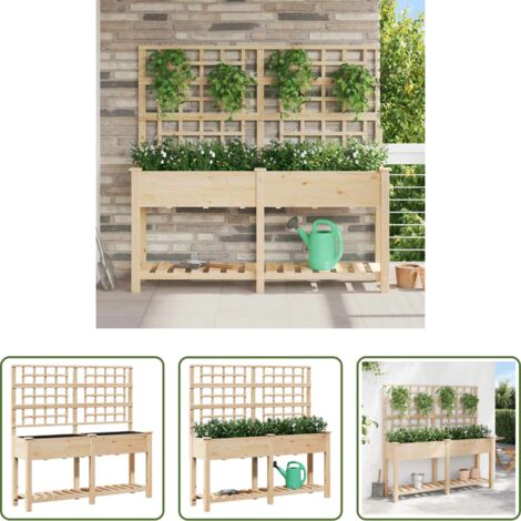 vidaXL Macetero de madera -  Macetero de Jardín con estante Beige 161 x 46 x 152,5 cm