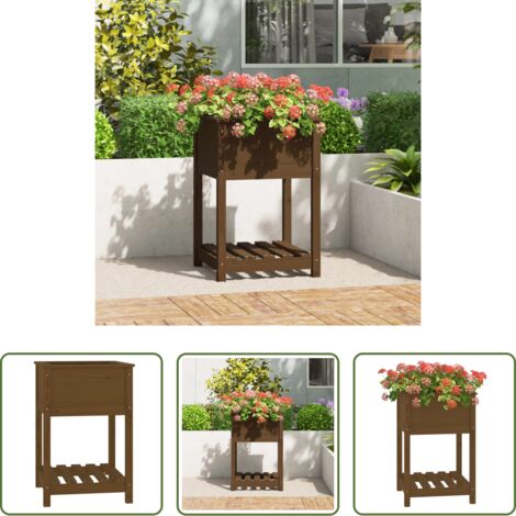 vidaXL Mensola per piante -  Fioriera con Mensola Ambra 54x54x81cm in Legno Massello di Pino