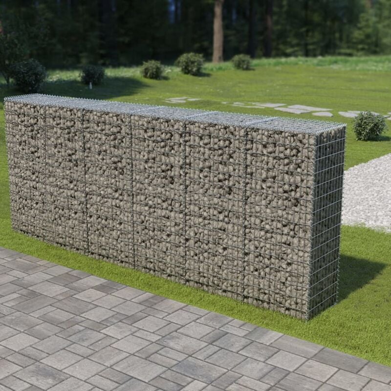 Mur en gabion avec couvercles Acier galvanisé 300 x 50 x 150 cm - Argent