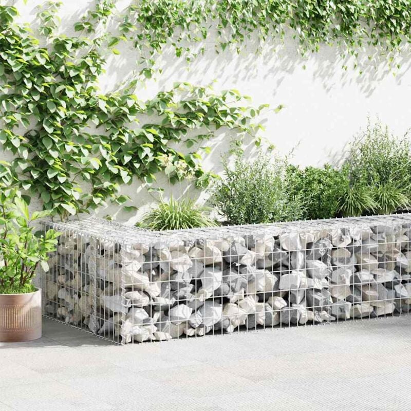 Panier de gabion Clôture de jardin Mur en Gabion Cage à Pierres de Jardin décoratif Acier galvanisé 100x50x50 cm DBEB5557881 MaisonChic