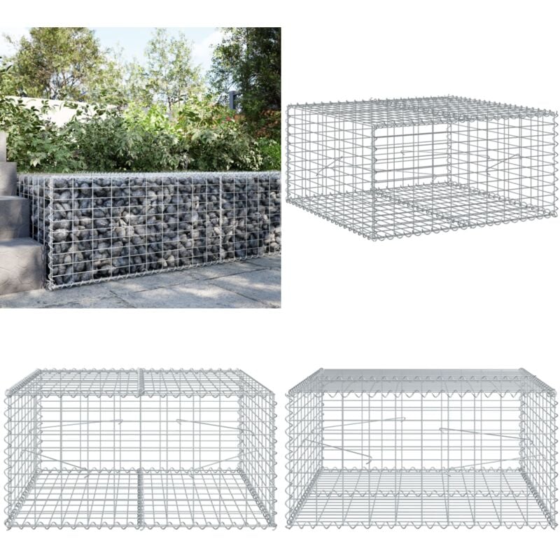 Vidaxl - Panier gabion avec couvercle 100x100x50 cm fer galvanisé
