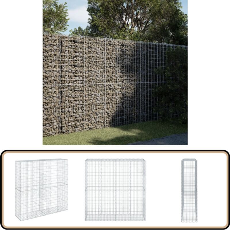 Vidaxl - Panier gabion avec couvercle 200x50x200 cm fer galvanisé