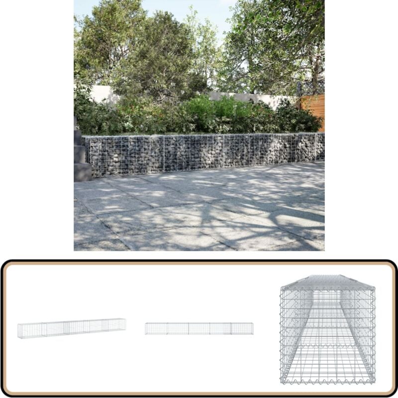 Vidaxl - Panier gabion avec couvercle 500x50x50 cm fer galvanisé