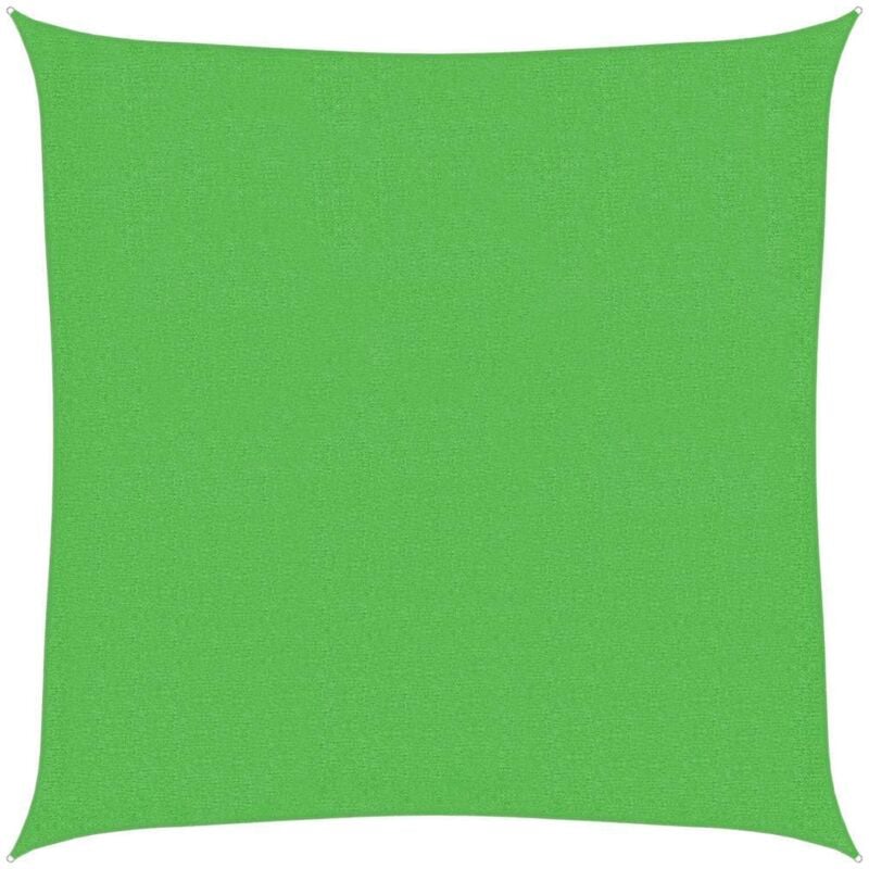 Vidaxl - Voile d'ombrage 160 g/m² Vert clair 2,5x2,5 m pehd