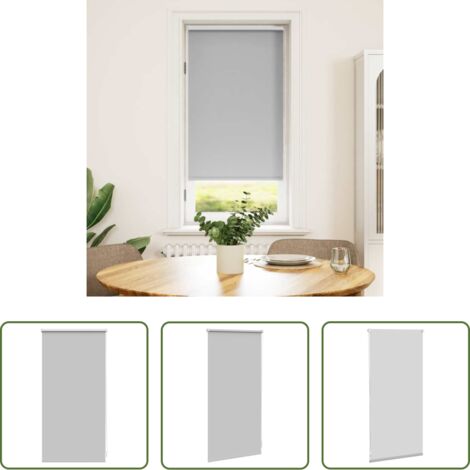 vidaXL Persianas para bloquear luz -  Estor enrollable opaco 44,4x100 cm, ancho de tela 40 cm, gris