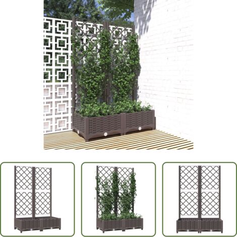 vidaXL Piante rampicanti -  Fioriera da Giardino con Graticcio Marrone 80x40x121,5 cm in PP