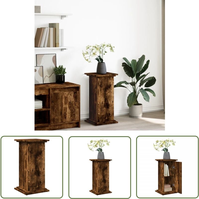 The Living Store - vidaXL Piédestal avec rangement chêne fumé 31x30x60 cm bois ingénierie